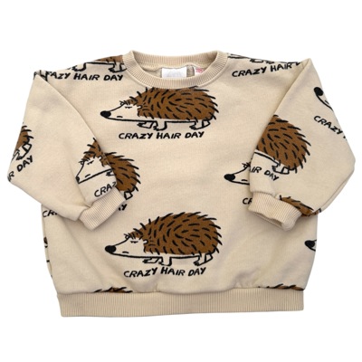 Béžová oversize mikina s ježky ZARA